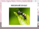 辽海版小学美术 二年级下册 2-5《小蚂蚁搬家》课件
