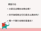 人教版（2024）小學(xué)美術(shù)二年級(jí)下冊(cè)  第17課《會(huì)爬的玩具》課件