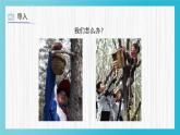 人教版（2024）小學(xué)美術(shù) 第12課《小鳥的家》課件