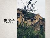人教版（2024）小学美术六年级下册 第15课《我国古代建筑艺术》名师课件
