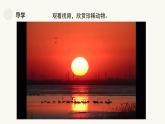 人教版（2024）小學(xué)美術(shù)三年級(jí)下冊(cè) 第19課《保護(hù)珍稀野生動(dòng)物》課件