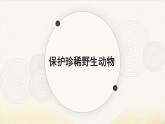 人教版（2024）小學(xué)美術(shù)三年級(jí)下冊(cè) 第19課《保護(hù)珍稀野生動(dòng)物》課件