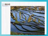 人教版（2024）小學(xué)美術(shù)三年級(jí)下冊(cè) 第3課《曲曲直直》課件