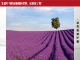 人教版（2024）小學(xué)美術(shù)三年級下冊第2課《重重復(fù)復(fù)》課件