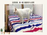 人教版小學(xué)美術(shù) 五年級下冊 第7課《夸張的臉》課件