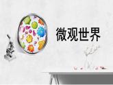 人教版小學(xué)美術(shù) 五年級(jí)下冊(cè) 第14課《微觀世界》課件