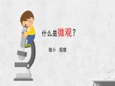 人教版小學(xué)美術(shù) 五年級(jí)下冊(cè) 第14課《微觀世界》課件