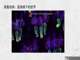人教版小學(xué)美術(shù) 五年級(jí)下冊(cè) 第14課《微觀世界》課件