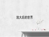 人教版小學(xué)美術(shù) 五年級(jí)下冊(cè) 第14課《微觀世界》課件