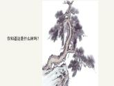 人教版小學(xué)美術(shù) 五年級下冊 第11課《學(xué)畫松樹》課件
