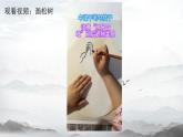 人教版小學(xué)美術(shù) 五年級下冊 第11課《學(xué)畫松樹》課件