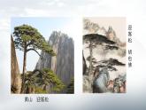 人教版小學(xué)美術(shù) 五年級下冊 第11課《學(xué)畫松樹》課件