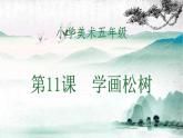 人教版小學(xué)美術(shù) 五年級下冊 第11課《學(xué)畫松樹》課件