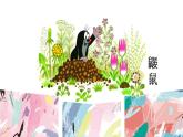人教版小學(xué)美術(shù) 一年級(jí)下冊 第3課《花地毯》課件
