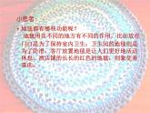 人教版小學(xué)美術(shù) 一年級(jí)下冊 第3課《花地毯》課件