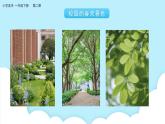 美术岭南版一年级下册 第二课《校园的春天》课件+教案