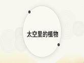 人教版小學美術一年級下冊 第11課《太空里的植物》課件