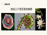 人教版小學美術一年級下冊 第11課《太空里的植物》課件