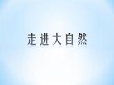 人教版小學(xué)美術(shù)一年級下冊 第2課《走近大自然》課件