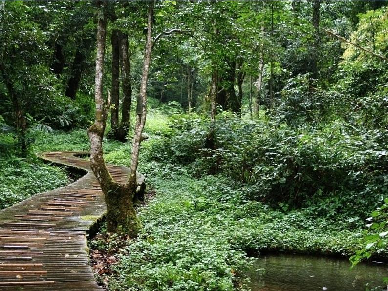 人教版小学美术一年级下册 第2课《走近大自然》课件第3页