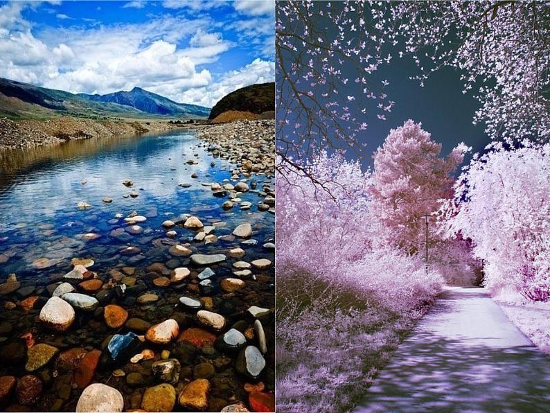 人教版小学美术一年级下册 第2课《走近大自然》课件第6页