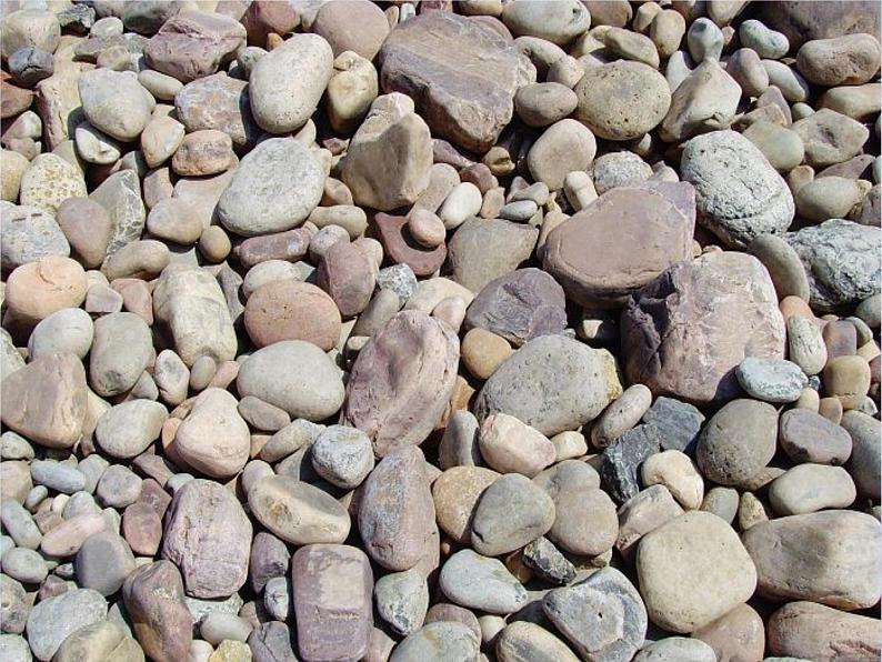 人教版小学美术一年级下册 第2课《走近大自然》课件第8页