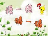 人教版小學(xué)美術(shù)一年級下冊 第6課《摸一摸_畫一畫》課件