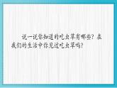 人美版小學(xué)美術(shù)二年級(jí)下冊(cè) 第2課《吃蟲(chóng)草》教學(xué)課件