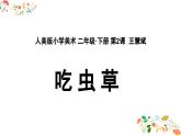 人美版小學(xué)美術(shù)二年級(jí)下冊(cè) 第2課《吃蟲(chóng)草》課件