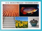 人美版小學(xué)美術(shù)二年級(jí)下冊(cè) 第6課《節(jié)節(jié)蟲》教學(xué)課件