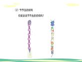 人美版小學(xué)美術(shù)二年級(jí)下冊(cè) 第6課《節(jié)節(jié)蟲》課件