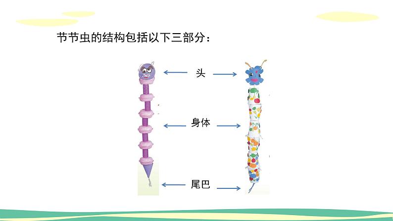人美版小学美术二年级下册 第6课《节节虫》课件第6页