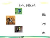 人美版小学美术二年级下册 第19课《我喜欢的鸟》课件