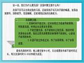 人美版小學(xué)美術(shù)二年級(jí)下冊(cè) 第8課《洗澡》教學(xué)課件
