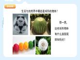 人美版小學(xué)美術(shù) 六年級下冊 第5課《彩球的設(shè)計(jì)》課件