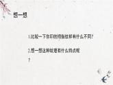 人美版小學(xué)美術(shù) 六年級下冊 第7課《用各種材料來制版》課件