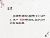 人美版小學(xué)美術(shù) 六年級下冊 第7課《用各種材料來制版》課件