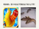 人美版小學(xué)美術(shù) 六年級下冊 第13課《擬人化的動(dòng)漫形象》課件
