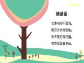 人教版（2024）小學(xué)美術(shù) 第7課《美麗的孔雀》課件