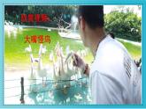 人美版小學(xué)美術(shù) 三年級下冊第6課《大嘴怪》教學(xué)課件