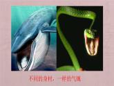人美版小學(xué)美術(shù) 三年級下冊第6課《大嘴怪》課件