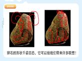 人美版小學美術 三年級下冊第15課《卵石動物造型》課件