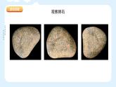人美版小學美術 三年級下冊第15課《卵石動物造型》課件