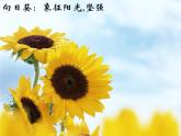 人美版小學(xué)美術(shù) 三年級(jí)下冊(cè)第16課《生活與藝術(shù)中的花》課件