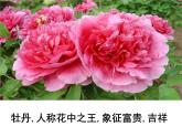人美版小學(xué)美術(shù) 三年級(jí)下冊(cè)第16課《生活與藝術(shù)中的花》課件