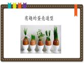 人美版小學(xué)美術(shù) 三年級下冊第10課《有趣的蛋殼造型》說課課件