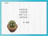 人美版小學美術(shù) 四年級下冊第1課《植物寫生》課件