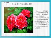 人美版小學美術(shù) 四年級下冊第1課《植物寫生》課件