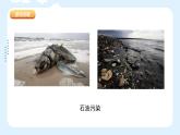 人美版小學(xué)美術(shù) 四年級下冊第7課《生命之源——水》課件