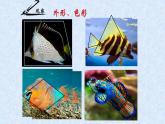 人美版小學(xué)美術(shù) 四年級(jí)下冊(cè)第9課《用彩墨畫(huà)魚(yú)》課件
